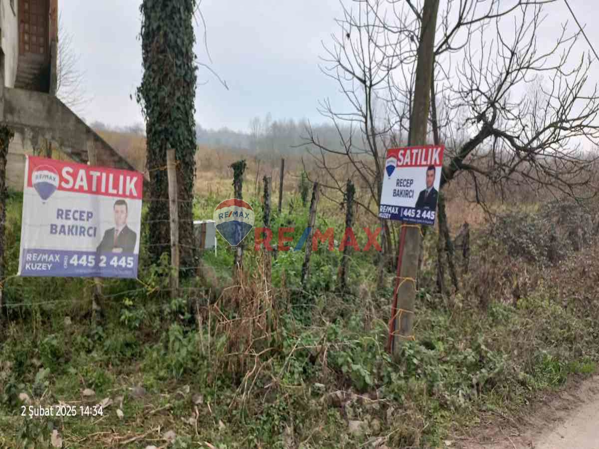 TERME YOLA CEPHE SATILIK FINDIK BAHÇESİ TARLA