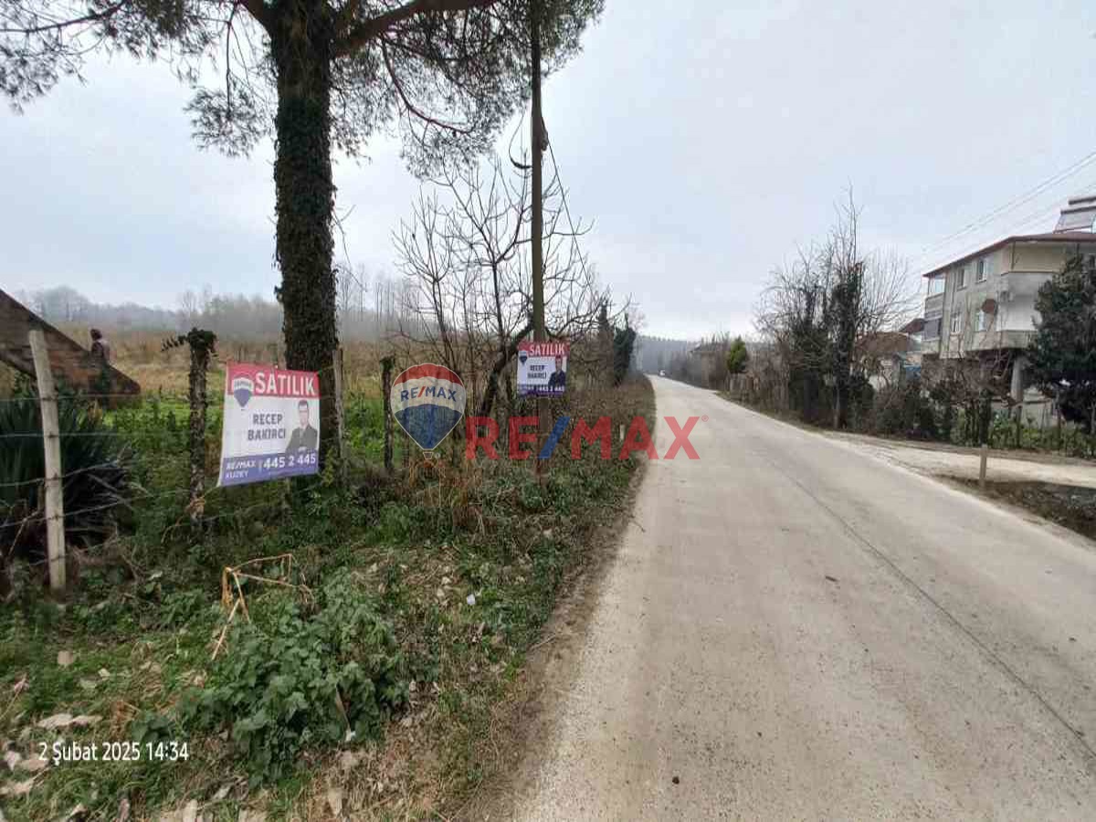 TERME YOLA CEPHE SATILIK FINDIK BAHÇESİ TARLA