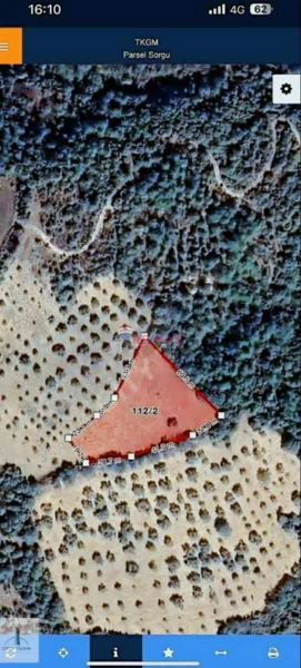 MANİSA, SOMA, VAKIFLIDA ORMANA CEPHE 3495 M2 TARLA