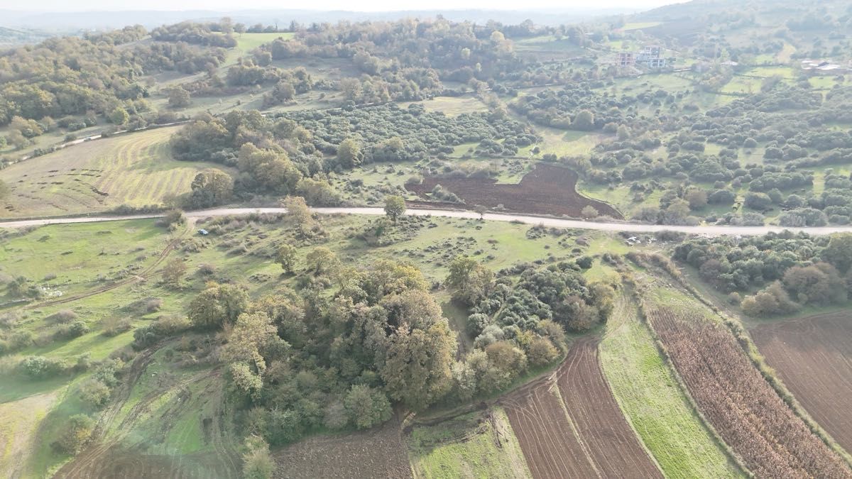 KOCAELİ KANDIRA KIZILCAPINAR ELMALIKDÜZÜ SATILIK TARLA