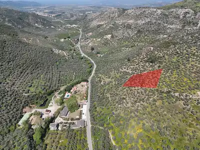 SELÇUK ŞİRİNCEDE SATILIK ZEYTİNLİK
