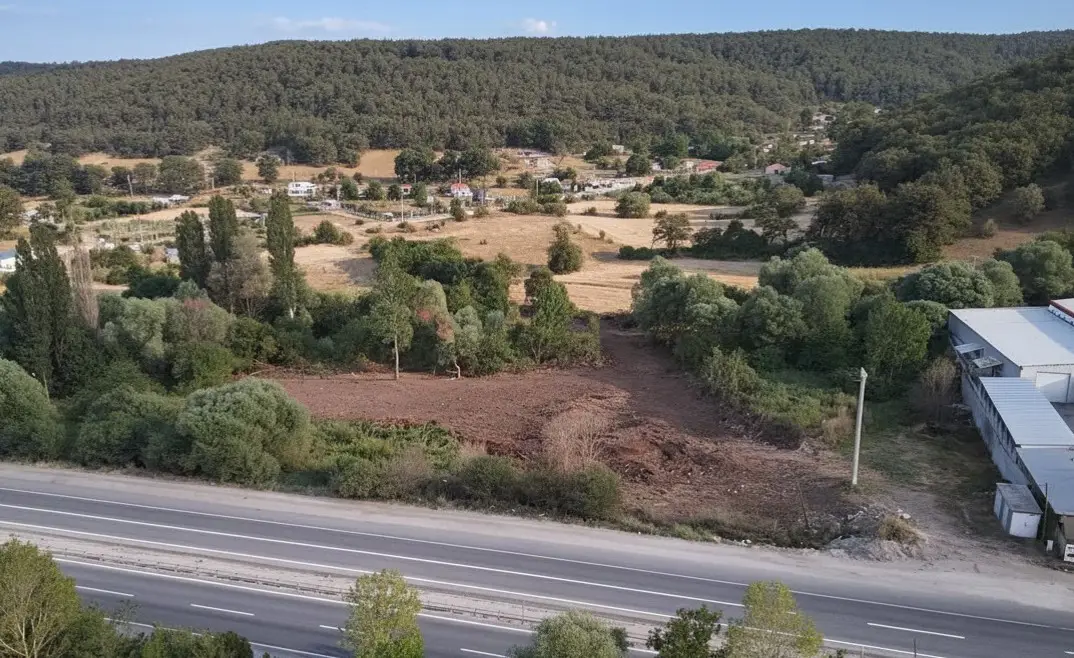 REMAX HÜR ALİ KUTANİS'TEN BİLECİK BOZÜYÜK'TE SATILIK TARLA