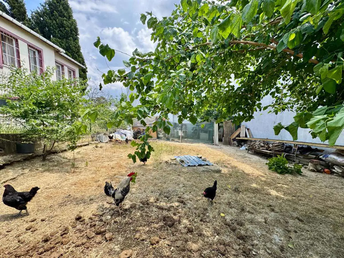 Property image 18