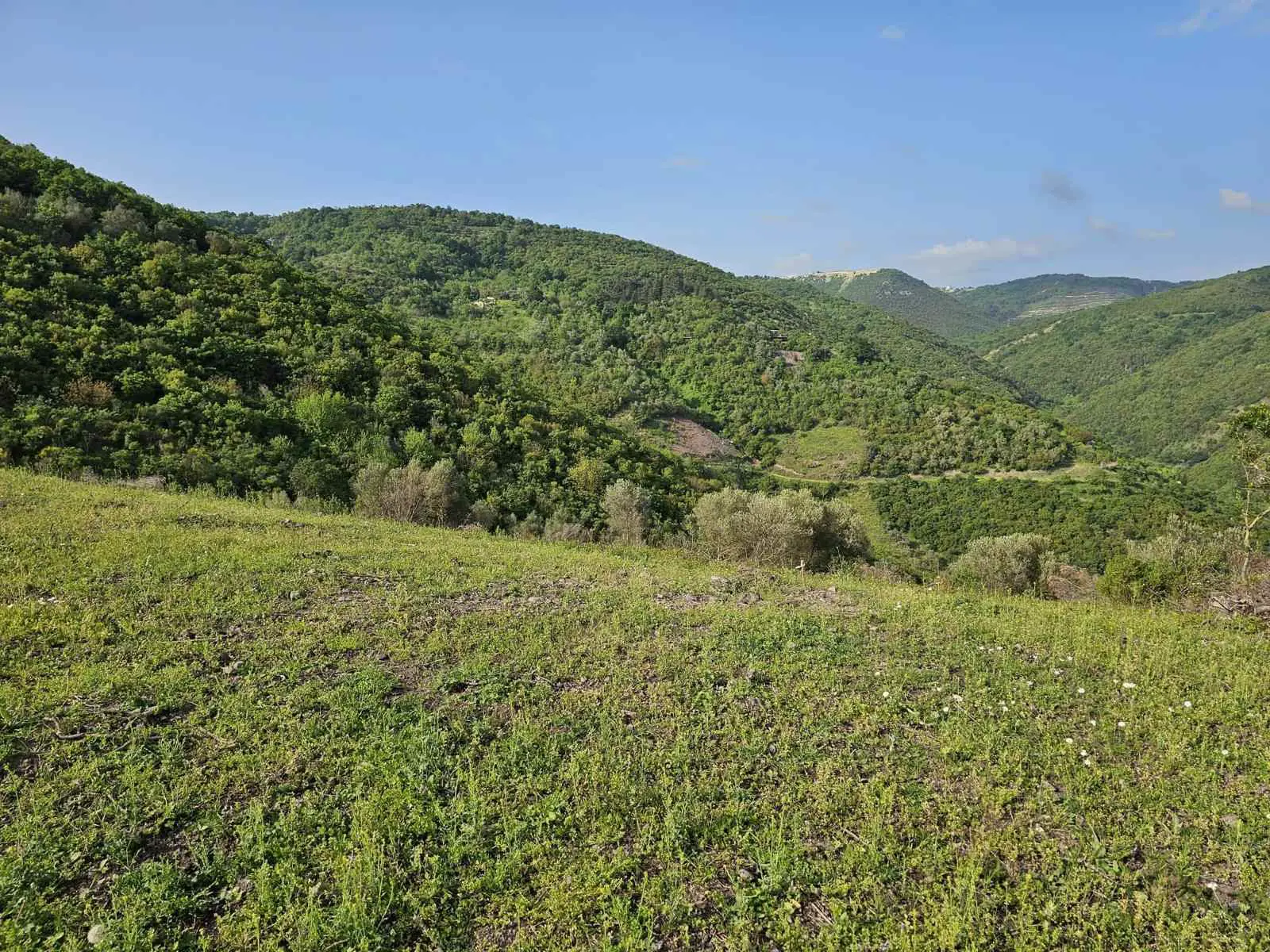 Property image 18