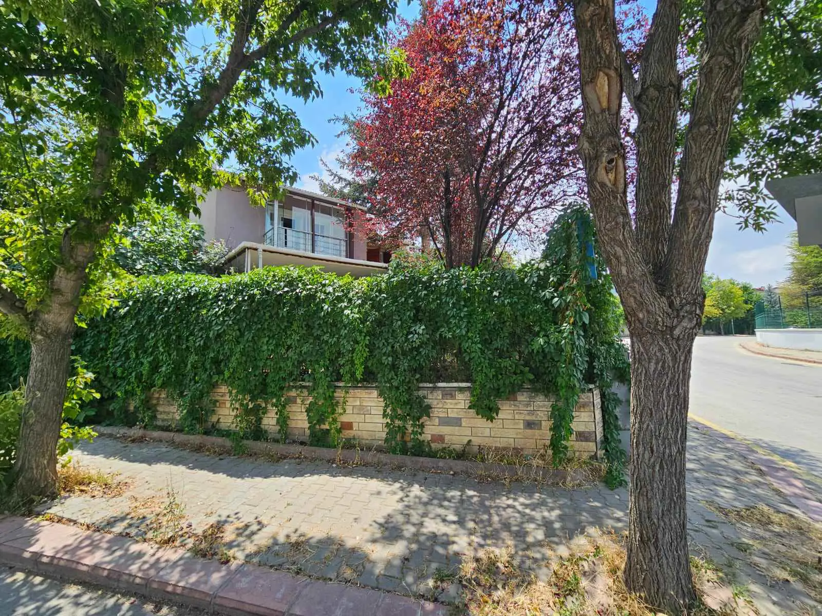 Property image 29