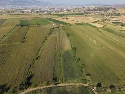 REMAX EDE'DEN TÜRKOĞLU ARAPLARDA SATILIK TARLA
