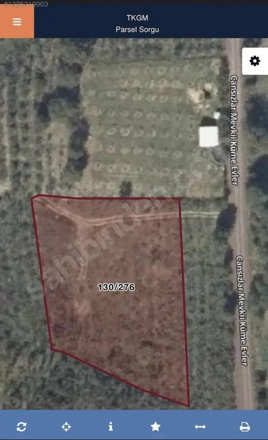 KANDIRA SİNANLI BİLALLIDA SATILIK 2.806 M² VERİMLİ FINDIKLIK |