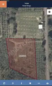 KANDIRA SİNANLI BİLALLIDA SATILIK 2.806 M² VERİMLİ FINDIKLIK |