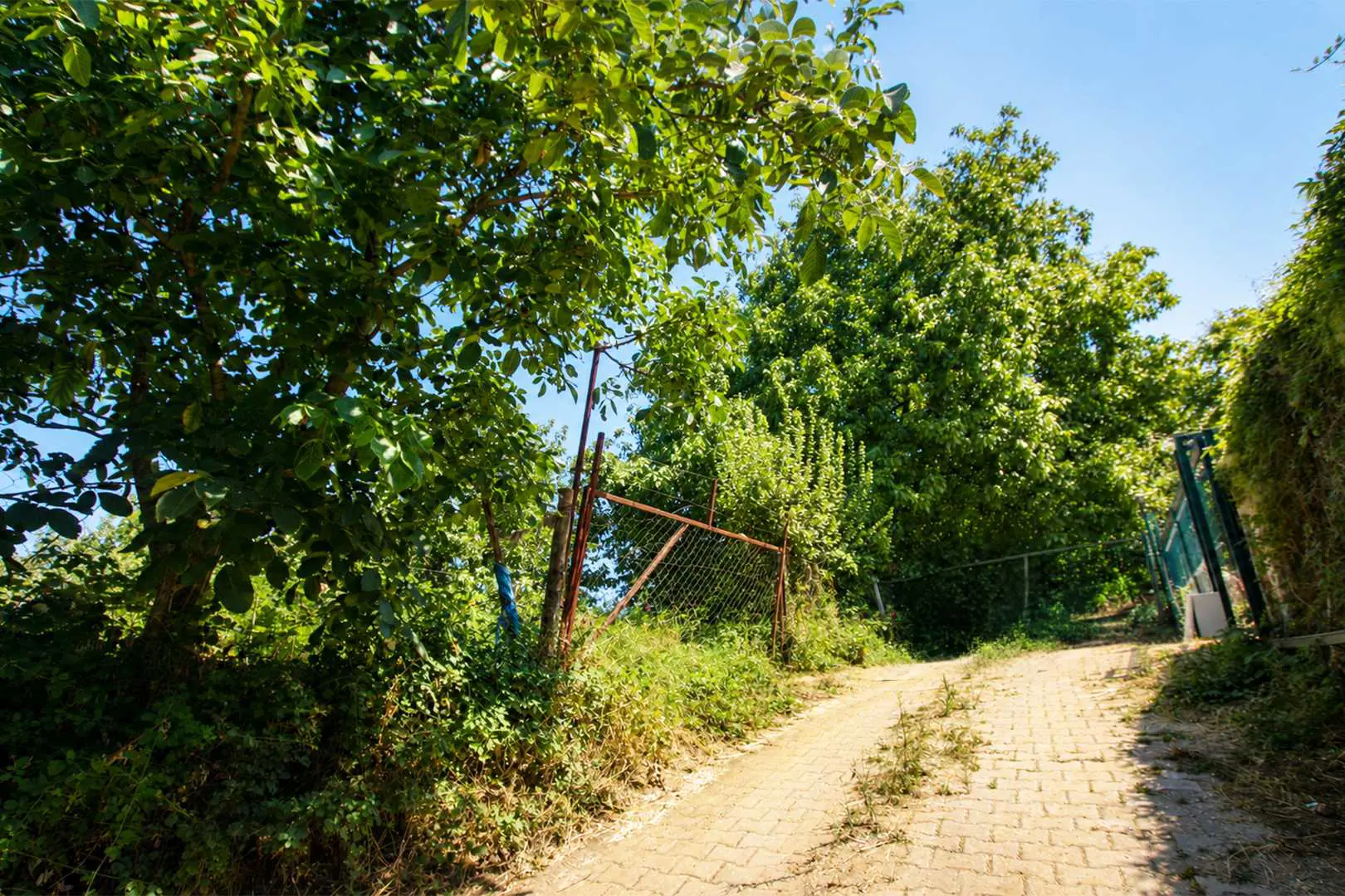Property image 23