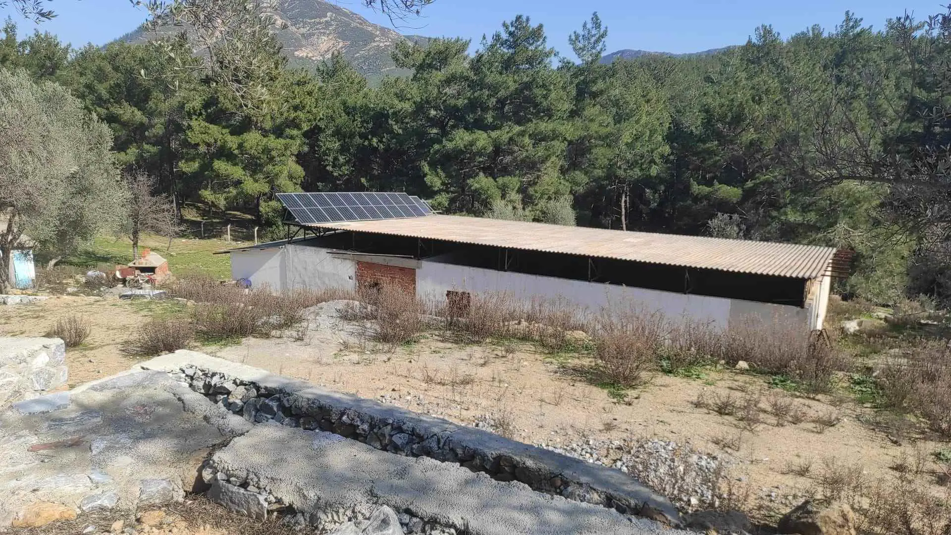 Property image 16