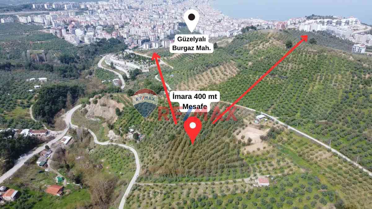 MUDANYA GÜZELYALI BURGAZ İMARA YAKIN 9785 M2 TEK TAPU ZEYTİNLİK