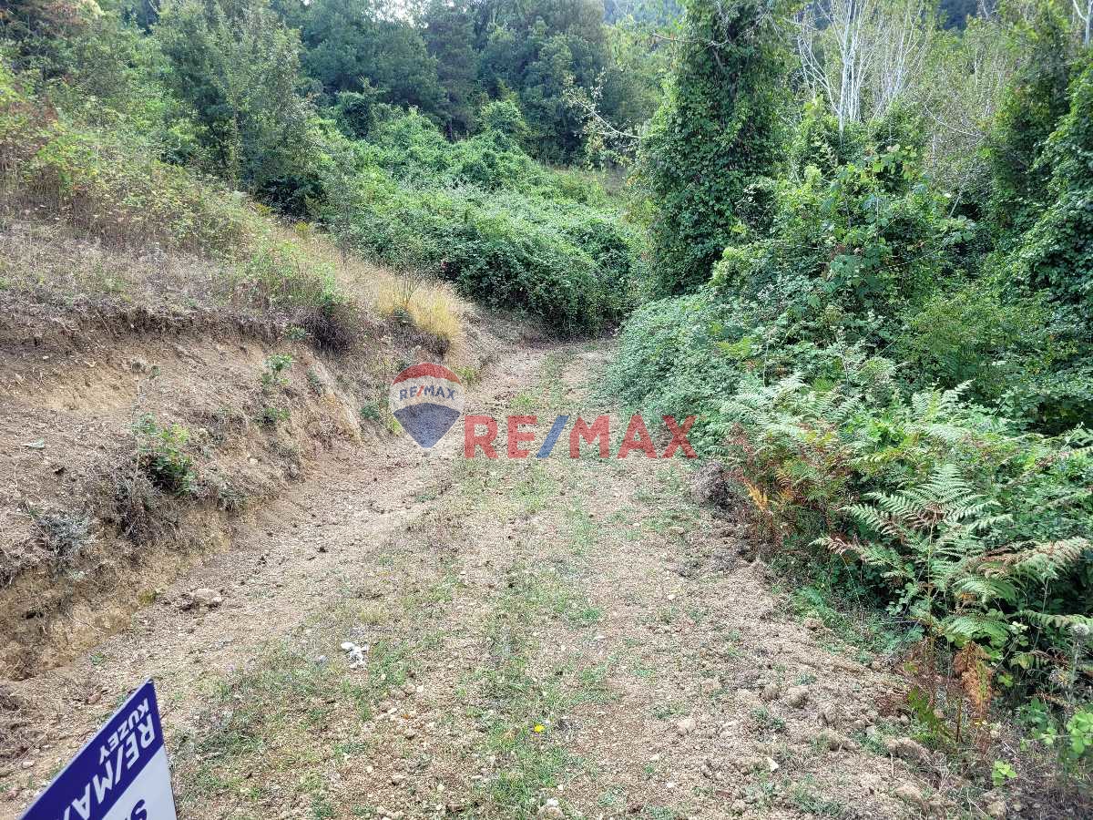 REMAX SEVCAN GÜRLEVİKTEN İLKADİM KAPAKLI MAHALLESİ'NDE SATILIK FIRSAT TARLA