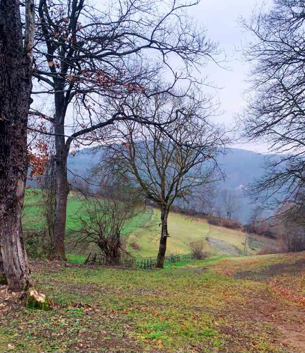 SAMSUN KUZEYDEN AKALAN'DA 1081 METREKARE TARLA