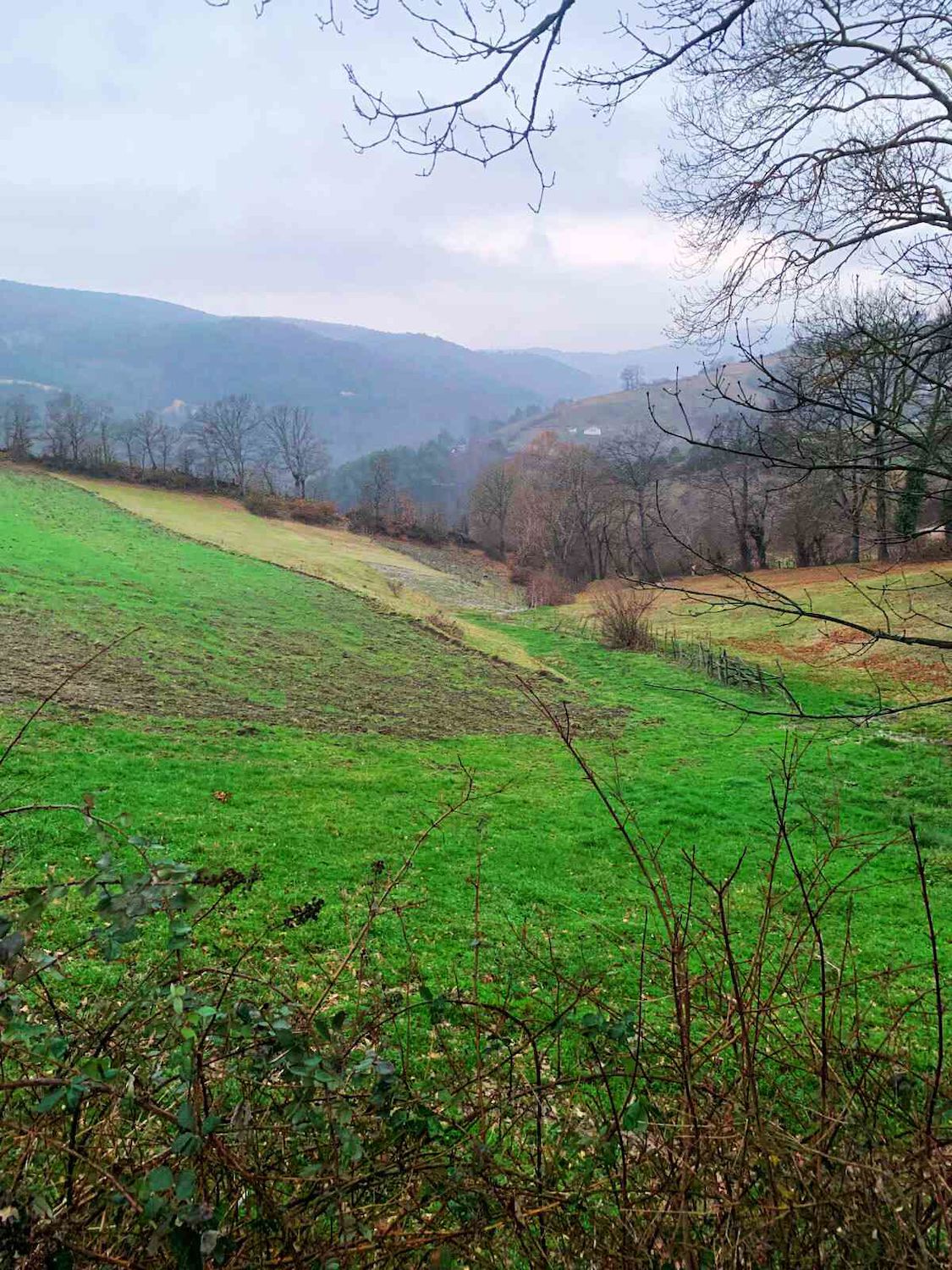 SAMSUN KUZEYDEN AKALAN'DA 1081 METREKARE TARLA