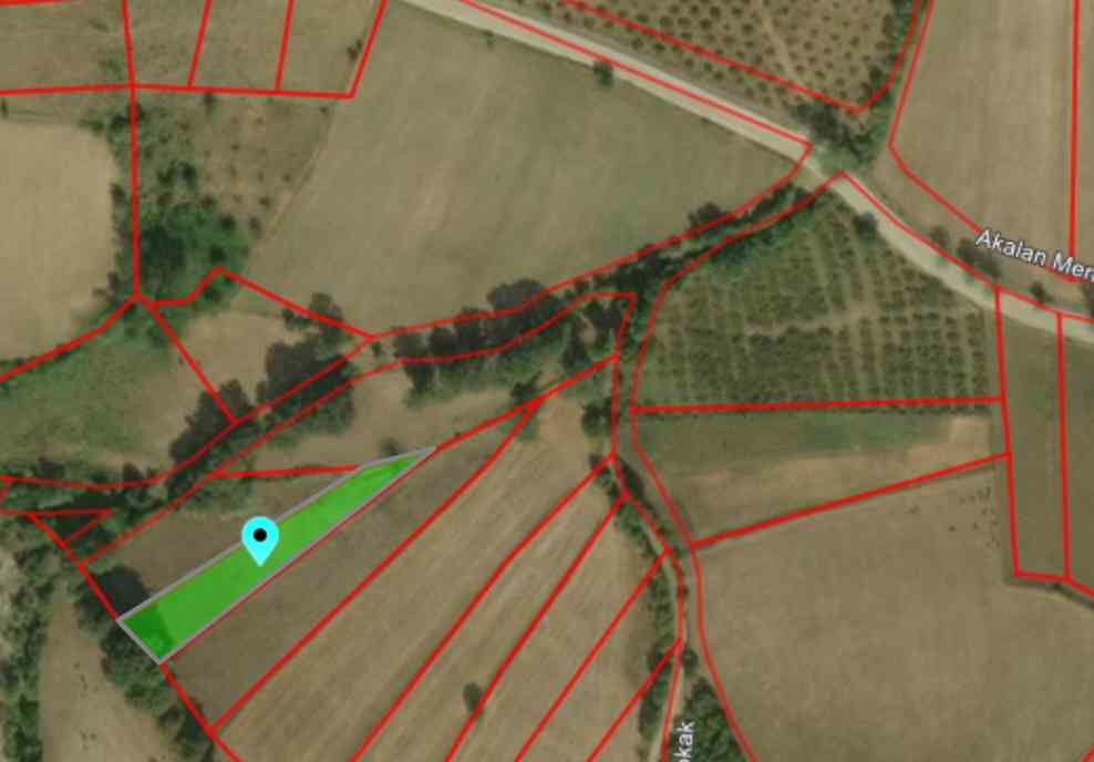 SAMSUN KUZEYDEN AKALAN'DA 1081 METREKARE TARLA