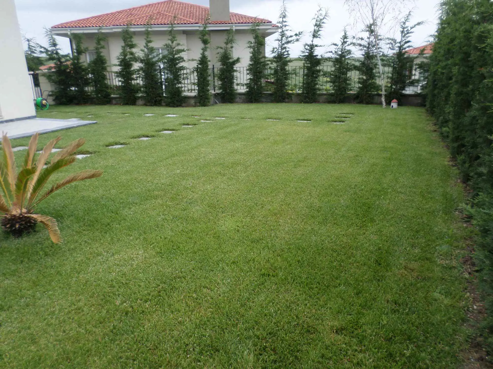 Property image 23