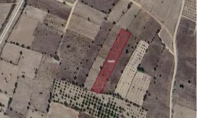DENİZLİ BAKLAN GÜRLÜK MAHALLESİNDE SATILIK BAĞ