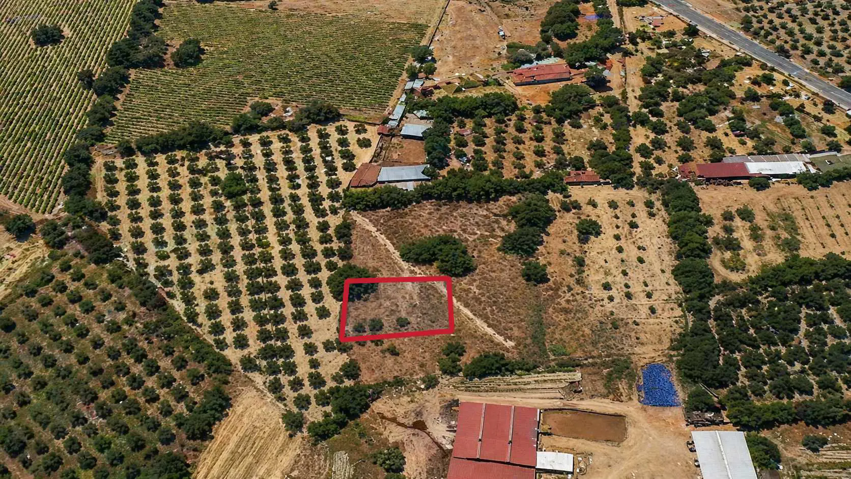 Property image 8