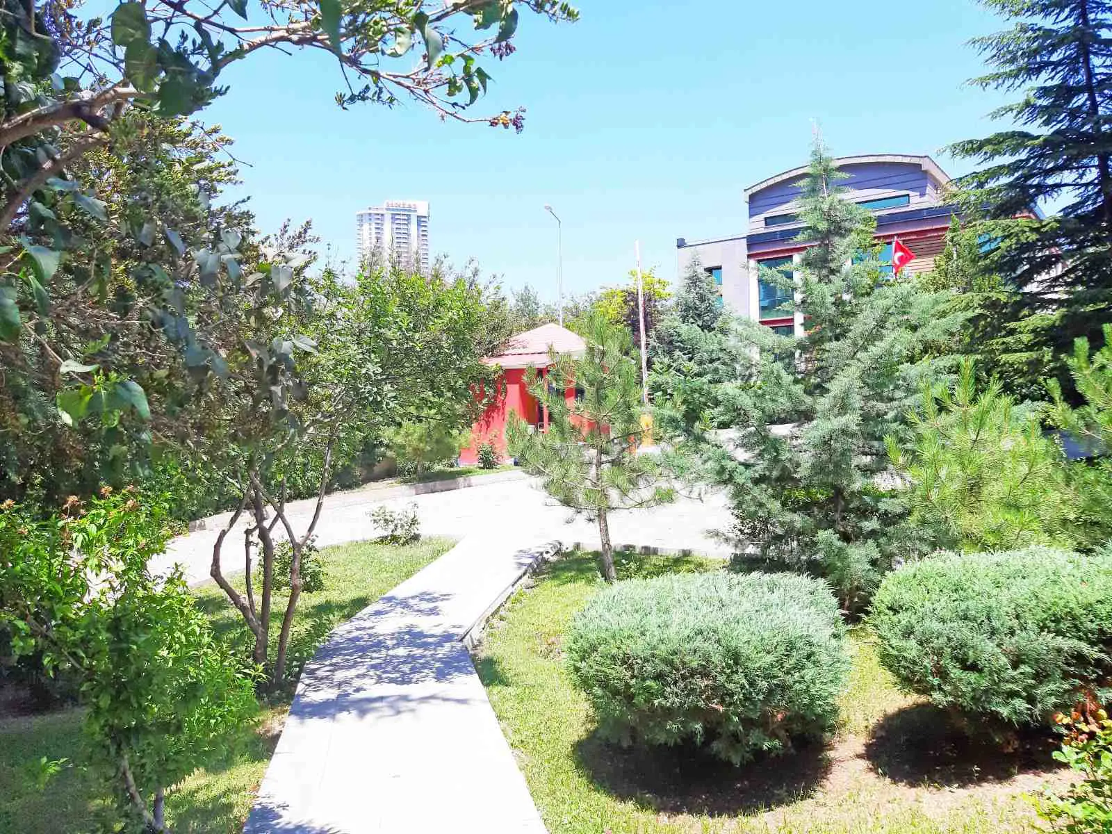 Property image 8
