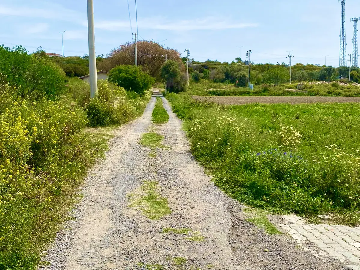 Property image 6