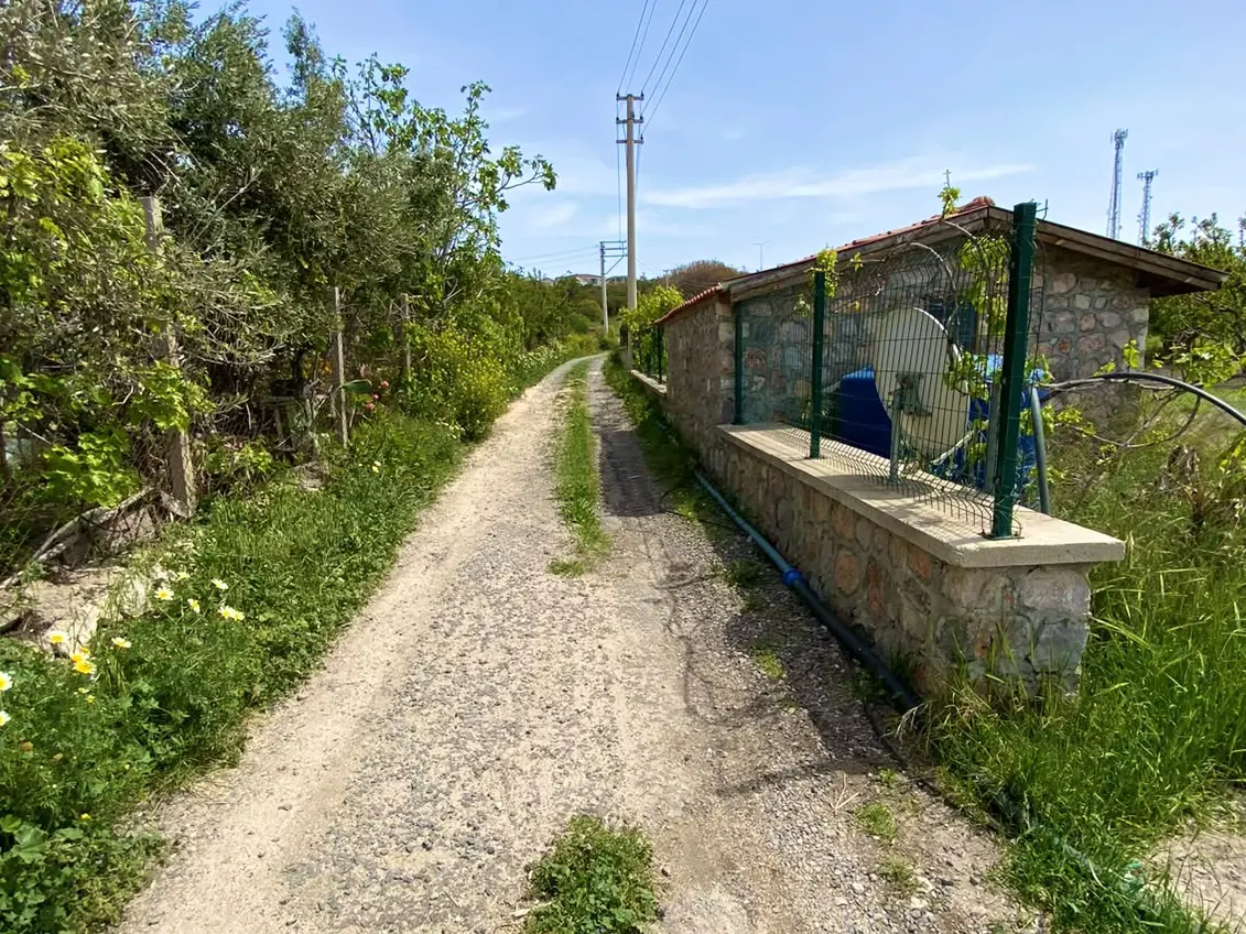 Property image 7