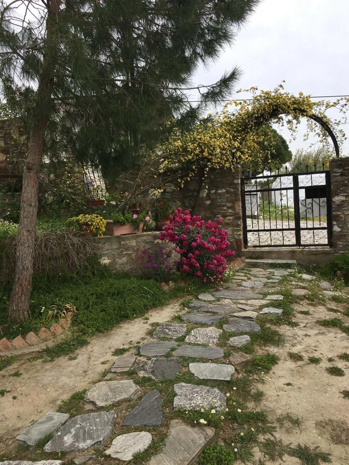 Property image 8