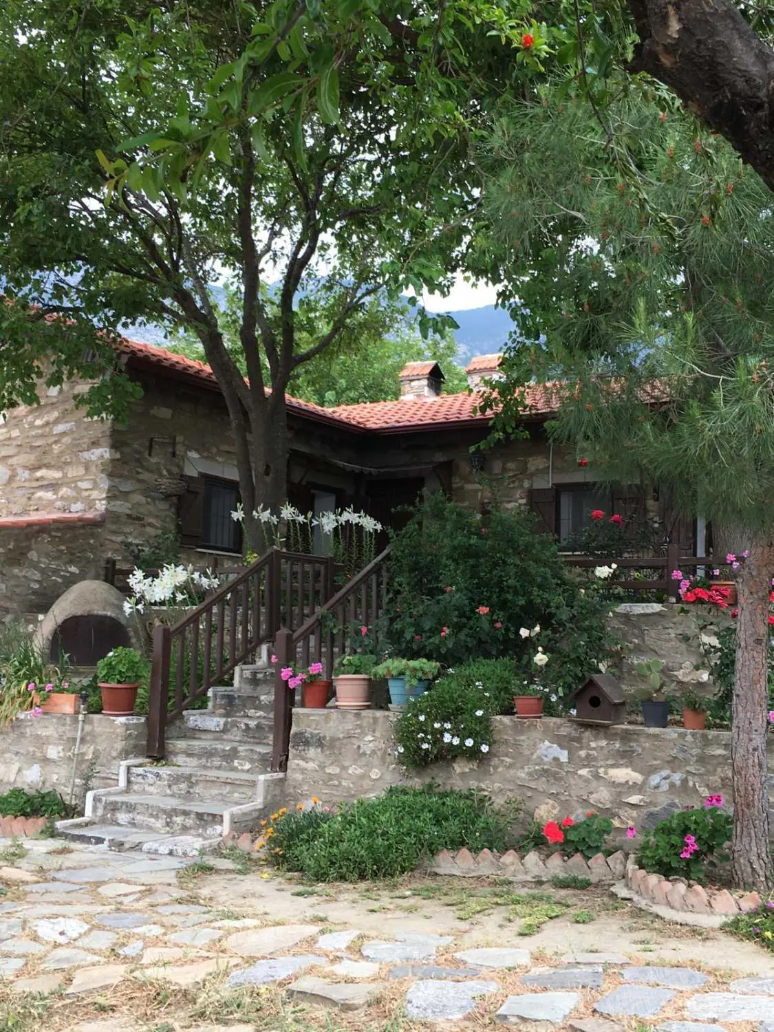 Property image 19