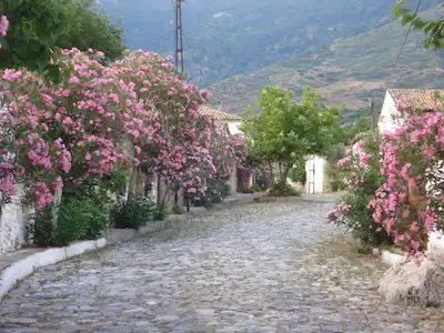 ESKI RUM KÖYÜNDE TEK TAPUDA BAKIMLI 2 TAŞ EV