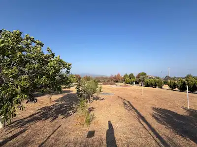 URLA KUŞÇULAR’DA ANAYOLA CEPHELİ 4.722 M², YÜKSEK TABELA DEĞERLİ KİRALIK BAĞ