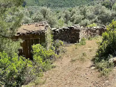 BAYINDIRDA 800 ZEYTİN AĞAÇLI 13.315 METRE KARE TEK TAPU ZEYTİNLİK