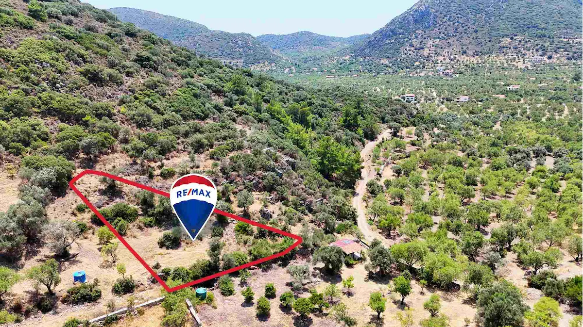 DATÇA YAKA’DA YOLU BULUNAN 565 M² ZEYTİNLİK | YATIRIMLIK 