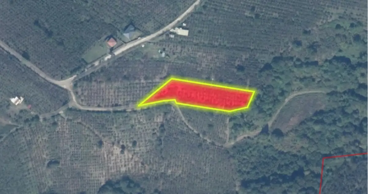 HENDEK GÜNDOĞAN MAH. 3.952 M2 FINDIKLIK