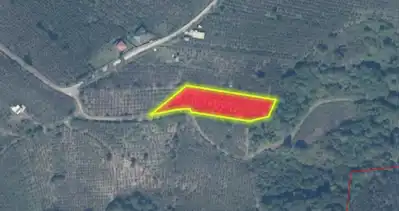 HENDEK GÜNDOĞAN MAH. 3.952 M2 FINDIKLIK
