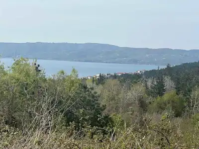 REMAX VİRA ÜLKÜ ÇAKAR'DAN SAPANCA HACIMERCAN KÖYÜ'NDE SATILIK TARLA