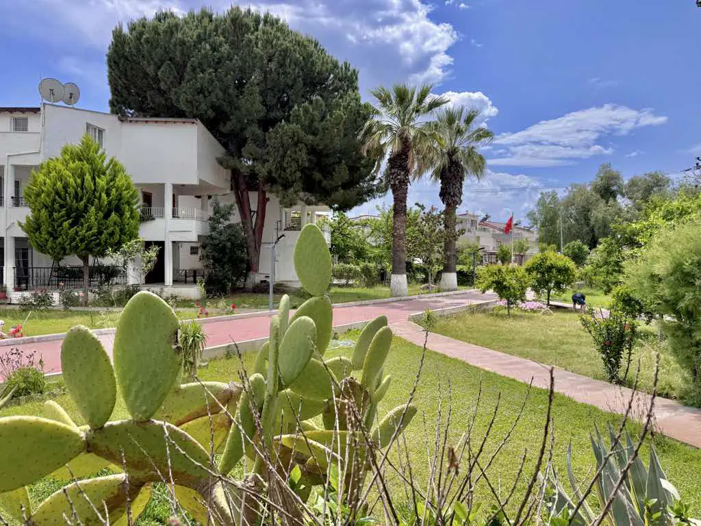 Property image 29