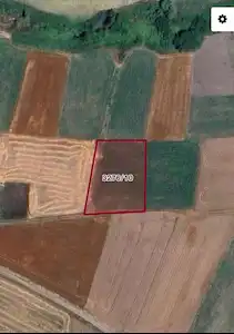 REMAX TOPRAK'TAN KAMILOBA'DA TEPEKENT'E YAKIN SATILIK TARLA