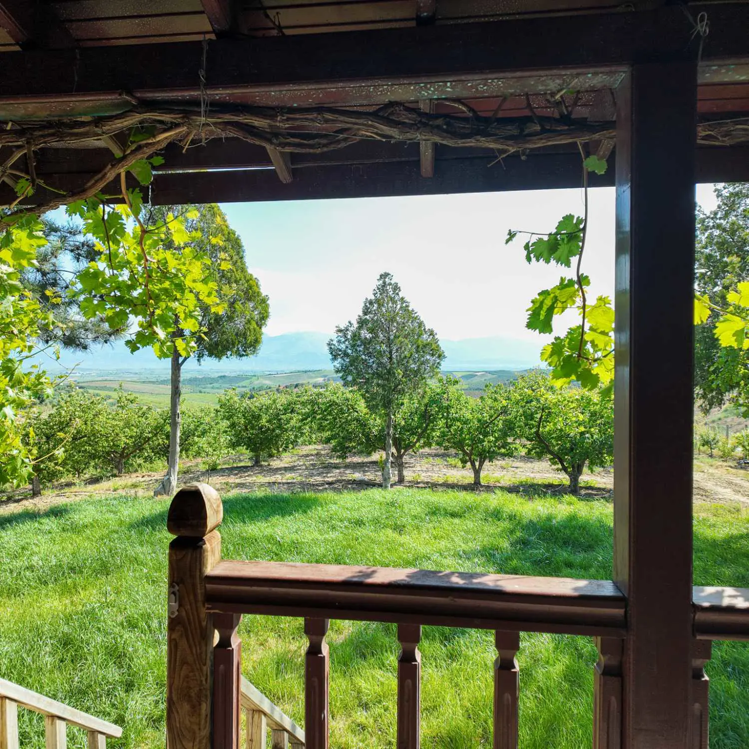 Property image 27
