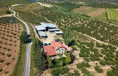 SALİHLİ'DE SATILIK FULL DONANIMLI KAYISI ÇİFTLİĞİ – 90 DÖNÜM