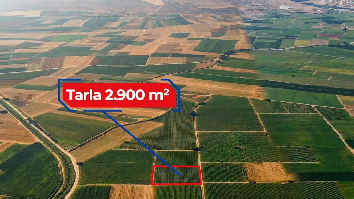 RE/MAX İNCİ'DEN BİGADİÇ ÇEKİRDEKLİ MAH. 2.900 M2 SATILIK TARLA