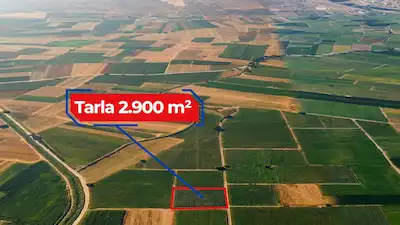 RE/MAX İNCİ'DEN BİGADİÇ ÇEKİRDEKLİ MAH. 2.900 M2 SATILIK TARLA 