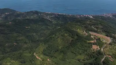 PERŞEMBE TARLACIK'TA SATILIK 23.096 M² FINDIK BAHÇESİ VE TARLA