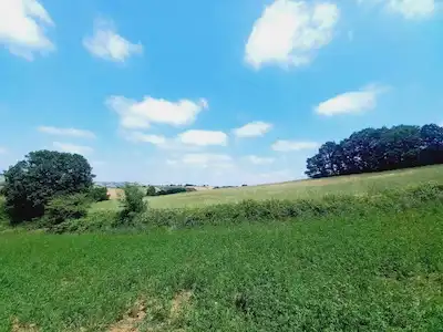 REMAX MAVİ EROL ÇEKCANDAN KARADAVUTLUDA 2625 M2 SATILIK ARAZİ.