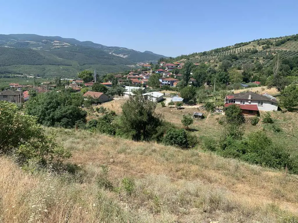 Property image 19