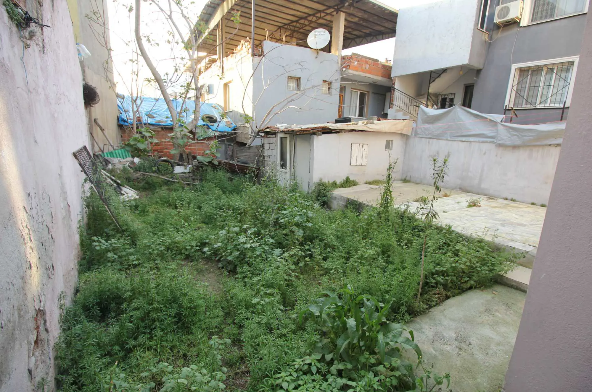 Property image 38