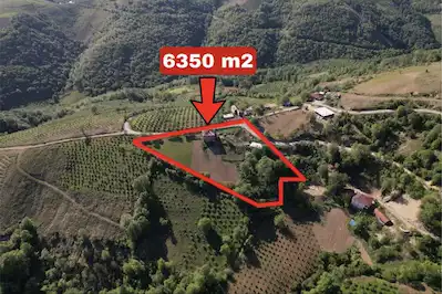 SAMSUN TEKKEKÖY’DE MÜSTAKİL PARSEL SATILIK TARLA | YATIRIMA UYGUN ARAZİ