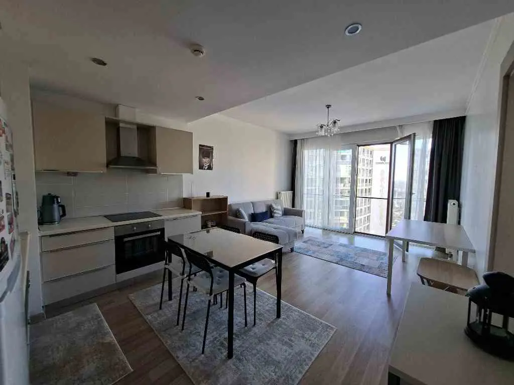 Property image 50