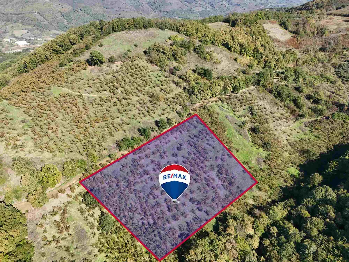 REMAX DIA 'DAN DÜZCE MERKEZ ÇİFTLİK KÖYÜ’NDE YOLA CEPHELİ TARLA 