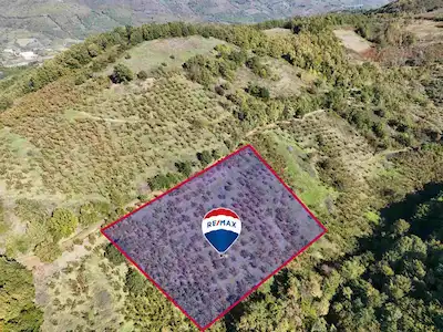 REMAX DIA 'DAN DÜZCE MERKEZ ÇİFTLİK KÖYÜ’NDE YOLA CEPHELİ TARLA