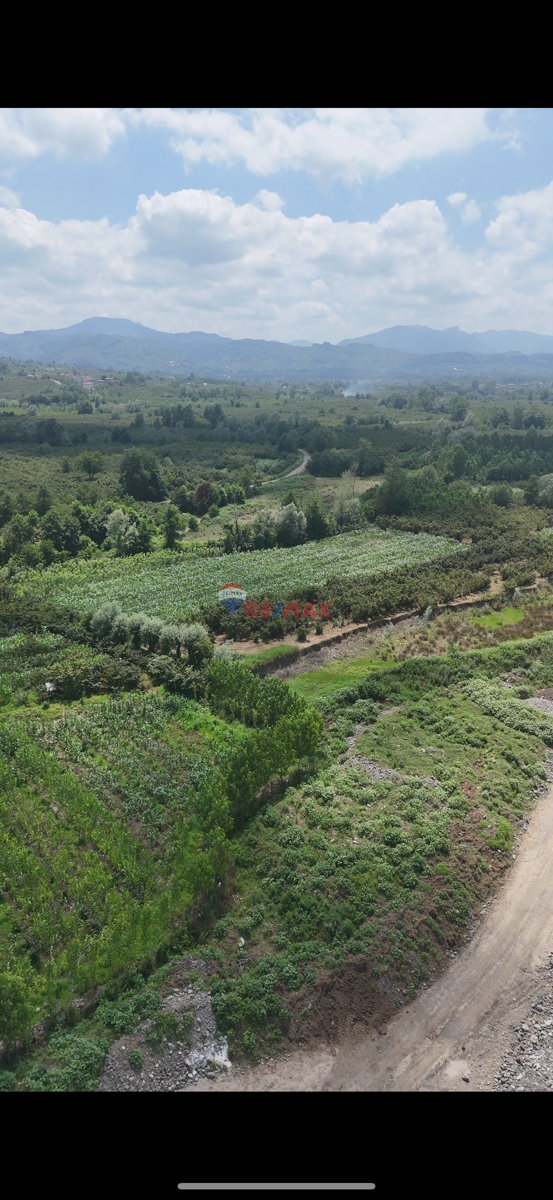 🌰 SATILIK FINDIK BAHÇESİ – DOĞAYLA İÇ İÇE, VERİMLİ VE YATIRIMLIK TARLA 🌿