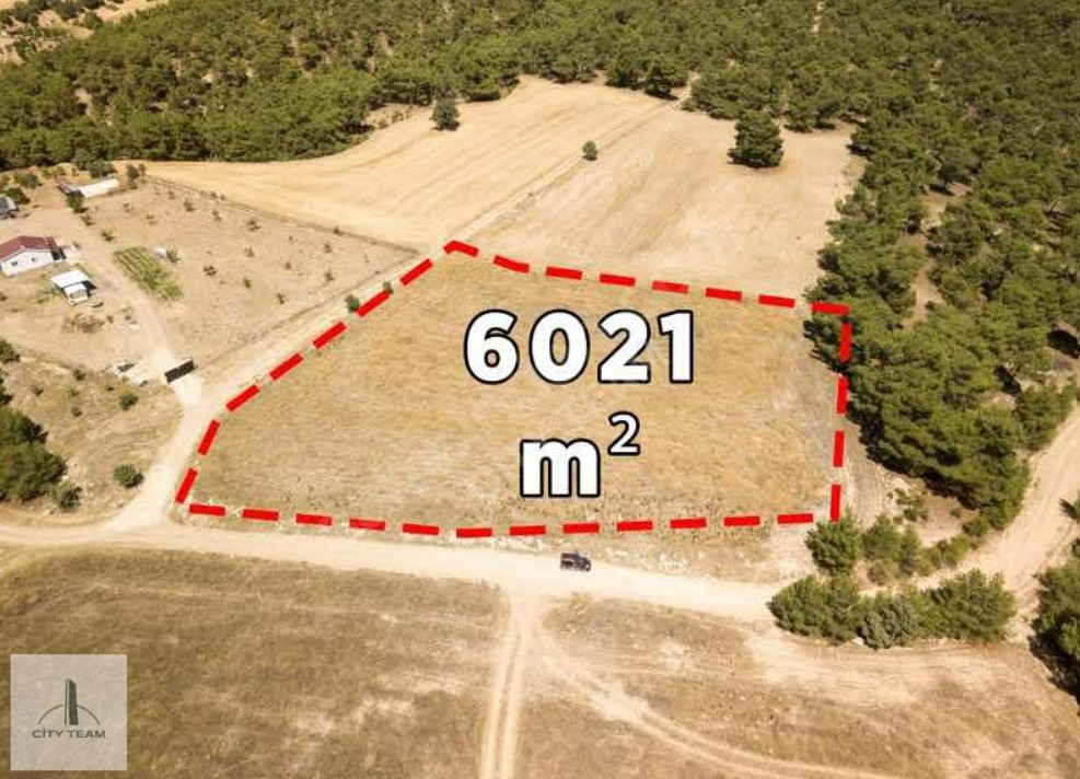 UŞAK MERKEZ AKTAŞ YOLA CEPHE SANAYİYE YAKIN 6000 M2 ARAZİ